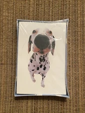 Hana Deka Club 10 blank notecards with envelopes