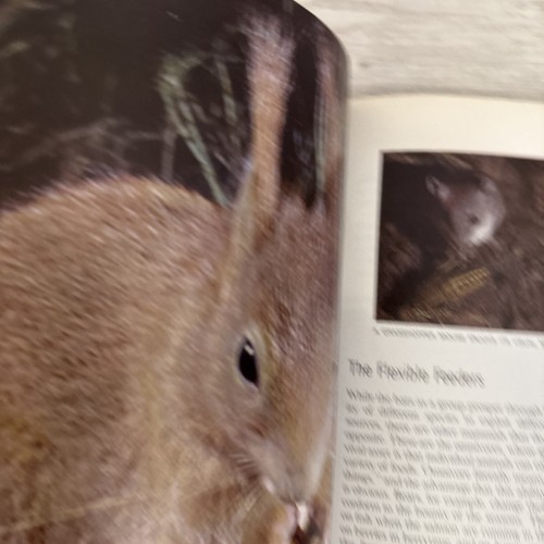 Vintage 1963 "The Mammals" By Time Life Nature Library Hardcover Book  - Picture 10 of 14