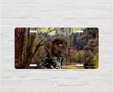 German Short Haired Pointer Vanity Aluminum Front License Plate Car Accessory