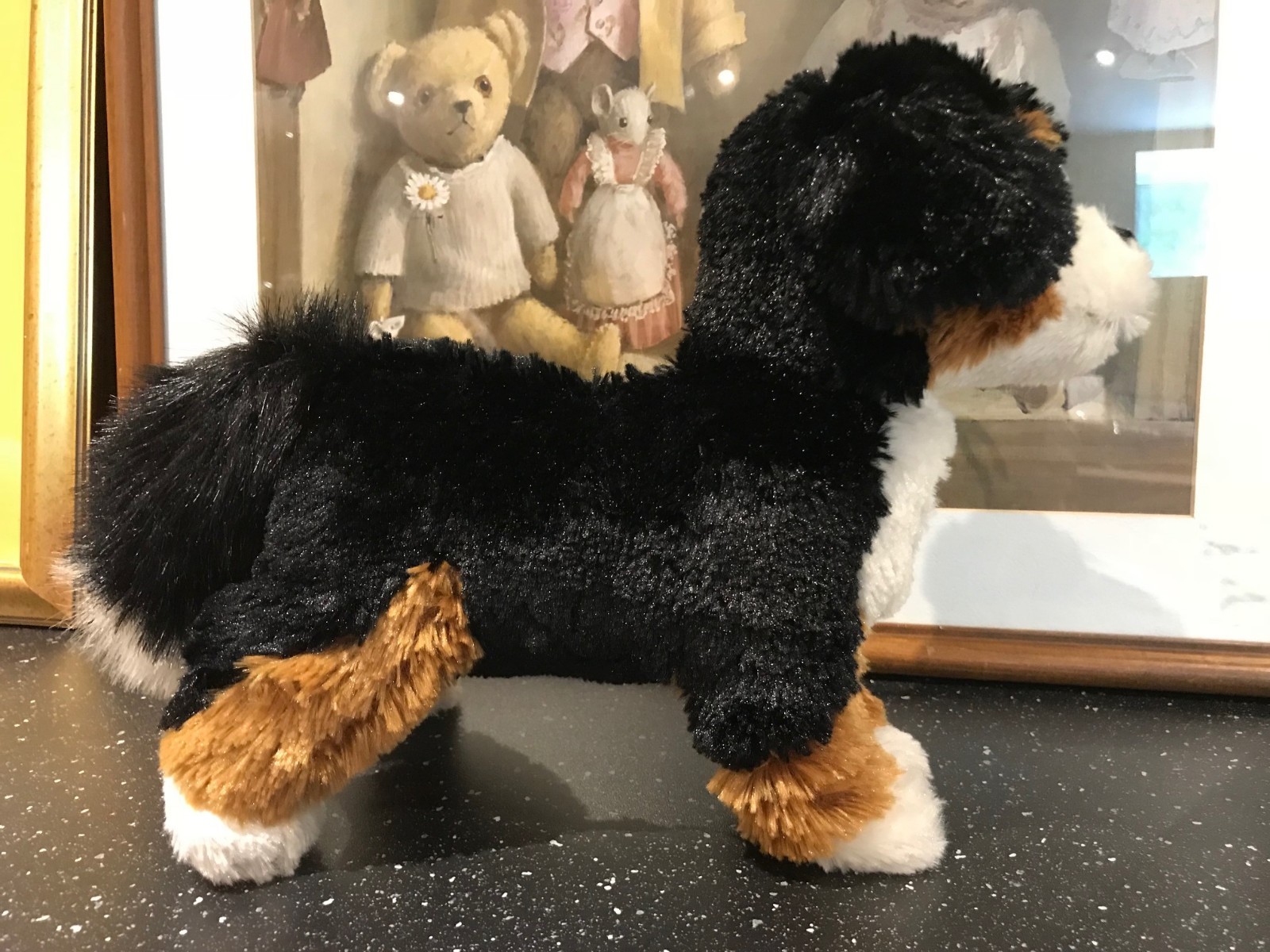 american bernese mountain dog