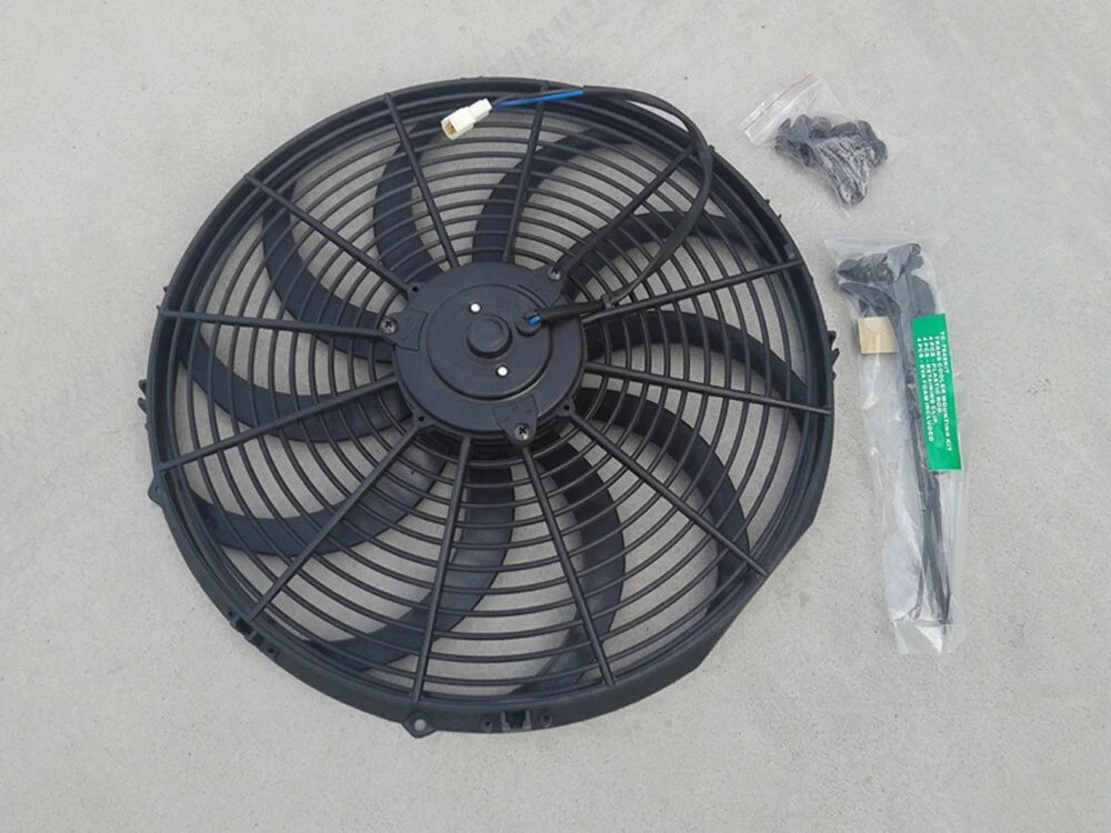 Picture 4 of 4