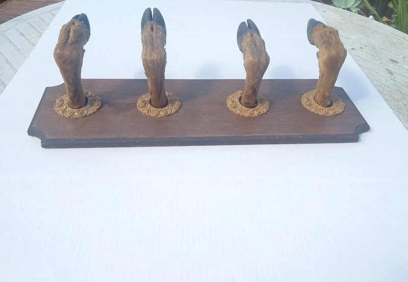 Vintage Taxidermy Deer Hoof/Gun/Bow Rack/Coat Rack/Hook Wall Mount 