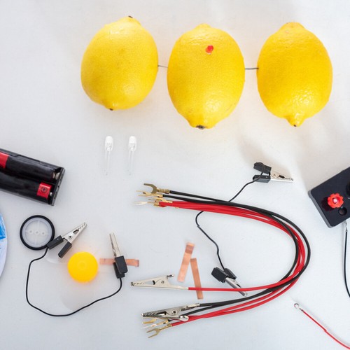 Fruit Battery Experiment Science Equipment Child Student Kits Bulk - Picture 7 of 12