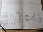 Picture 5 of 15