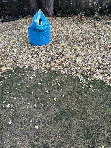 75 Gallon Heavy Duty Reusable Garden Waste, Leaf Bag