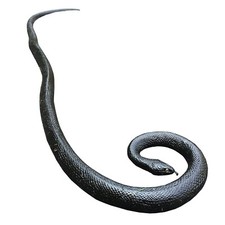 COTOSEY 53" Rubber Snake Realistic Fake Snakes Toy for Fool's Day Pranks Hall...