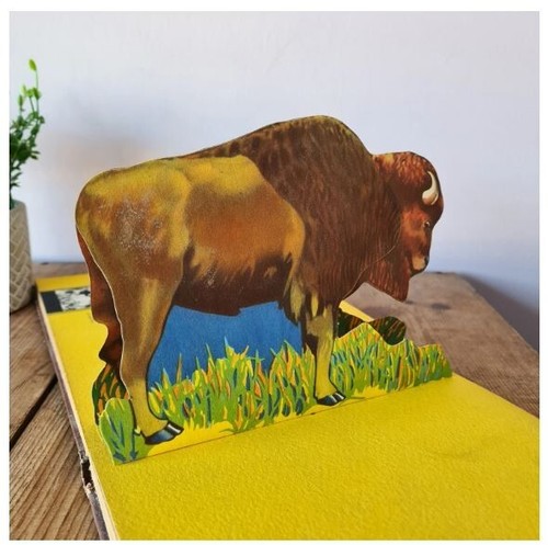 Vintage Children's Animal Zoo Pop-up Book, Bookano Zoo Animals in Fact - Picture 5 of 10