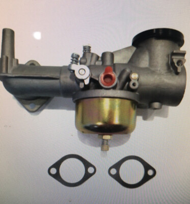 Carburatore Riparazione per Briggs & Stratton Motore 190707 190702 190701 190705