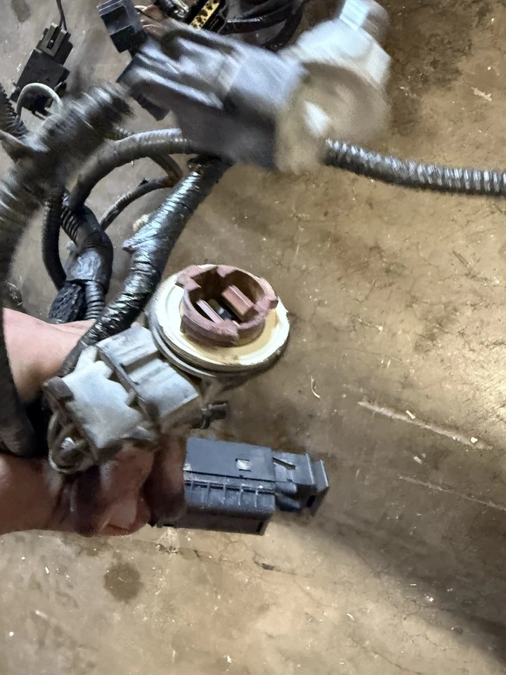 2003 Ford Excursion Powerstroke 6.0L Diesel carroceria dianteira compartimento do motor chicote de fios - Imagem 3 de 4