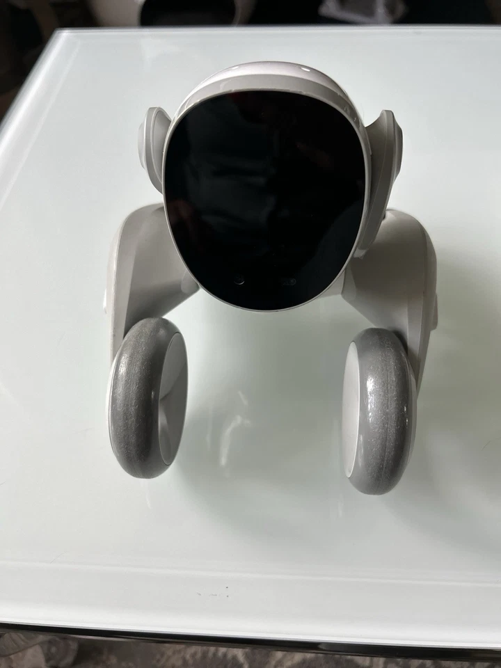 Ki Hund Loona Petbot  guter Zustand,  - Bild 3 von 3