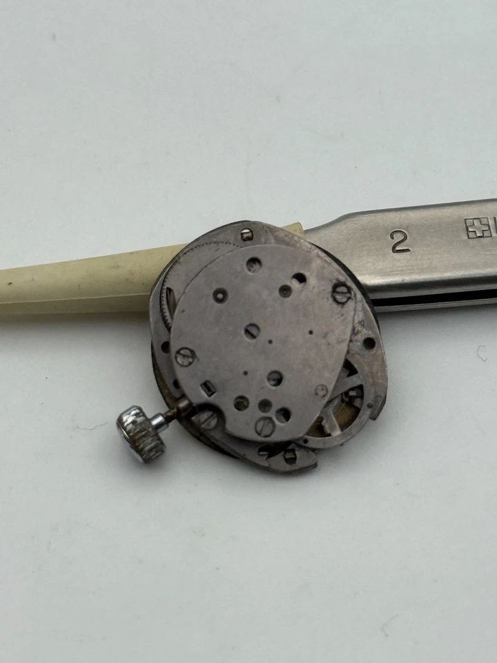 timex movement movimento - Immagine 2 di 3