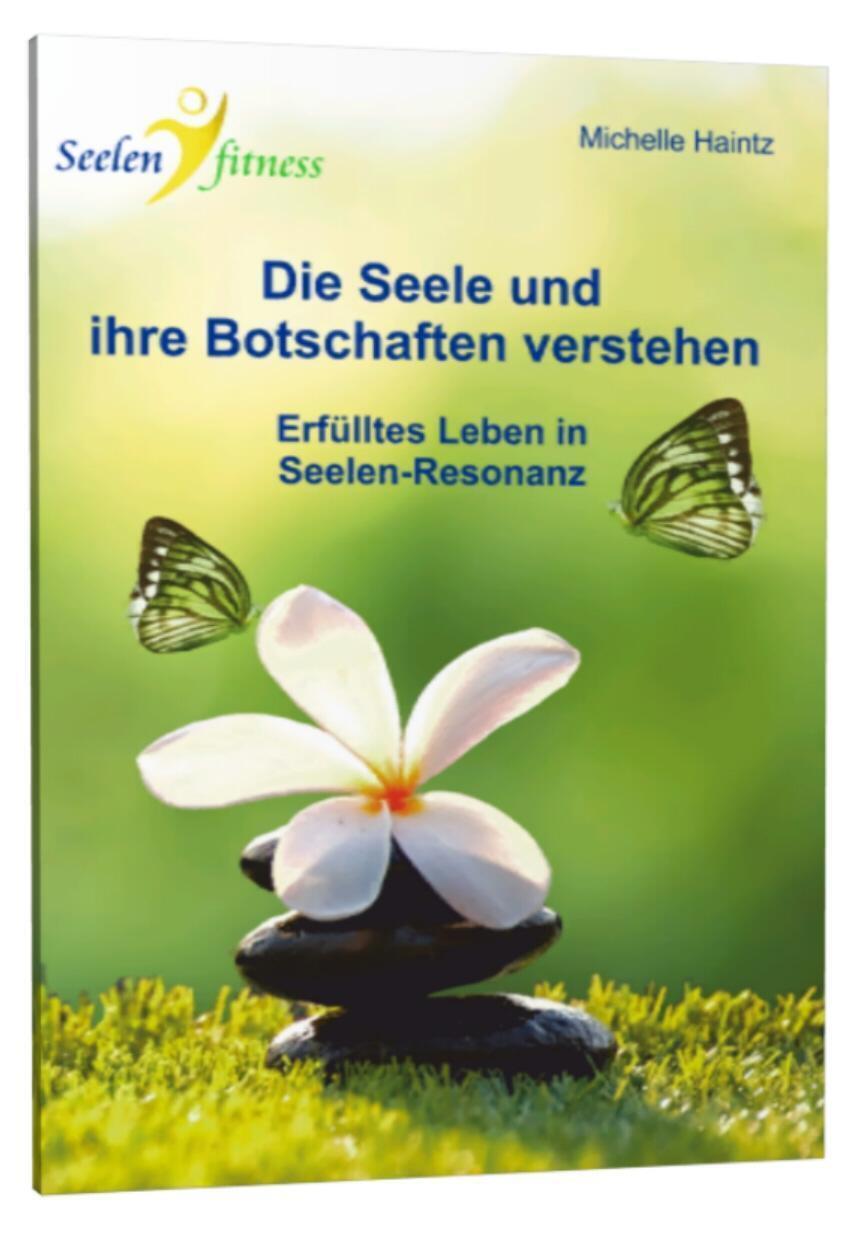 Thumbnail - Die Seele Und Ihre Botschaften Verstehen | Buch | 9783943729733