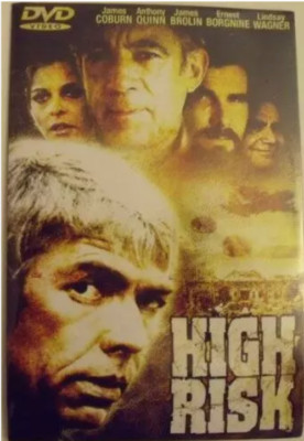 High Risk DVD Disc Only No Art, Case or Tracking