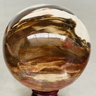 Natural Petrified Wood Polished Stone Quartz Crystal Sphere Ball Healing 1200G — photo 2