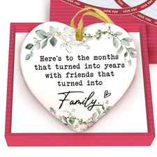GOSSBY Friendship Ornament for Women for Friend - Friends That Turned into Fa...