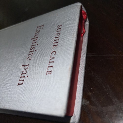 RARE Sophie Calle, Exquisite Pain, 2005, Thames & Hudson, eng, NF, Photography - Foto 12 di 16
