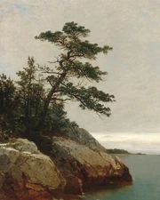 1800s Tree on the Coast Painting Giclee Print on Fine Art Paper