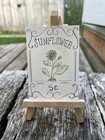 ACEO Original Painting Watercolor Sunflower Seed Packet Drawing Kawb Art Studio — photo 3