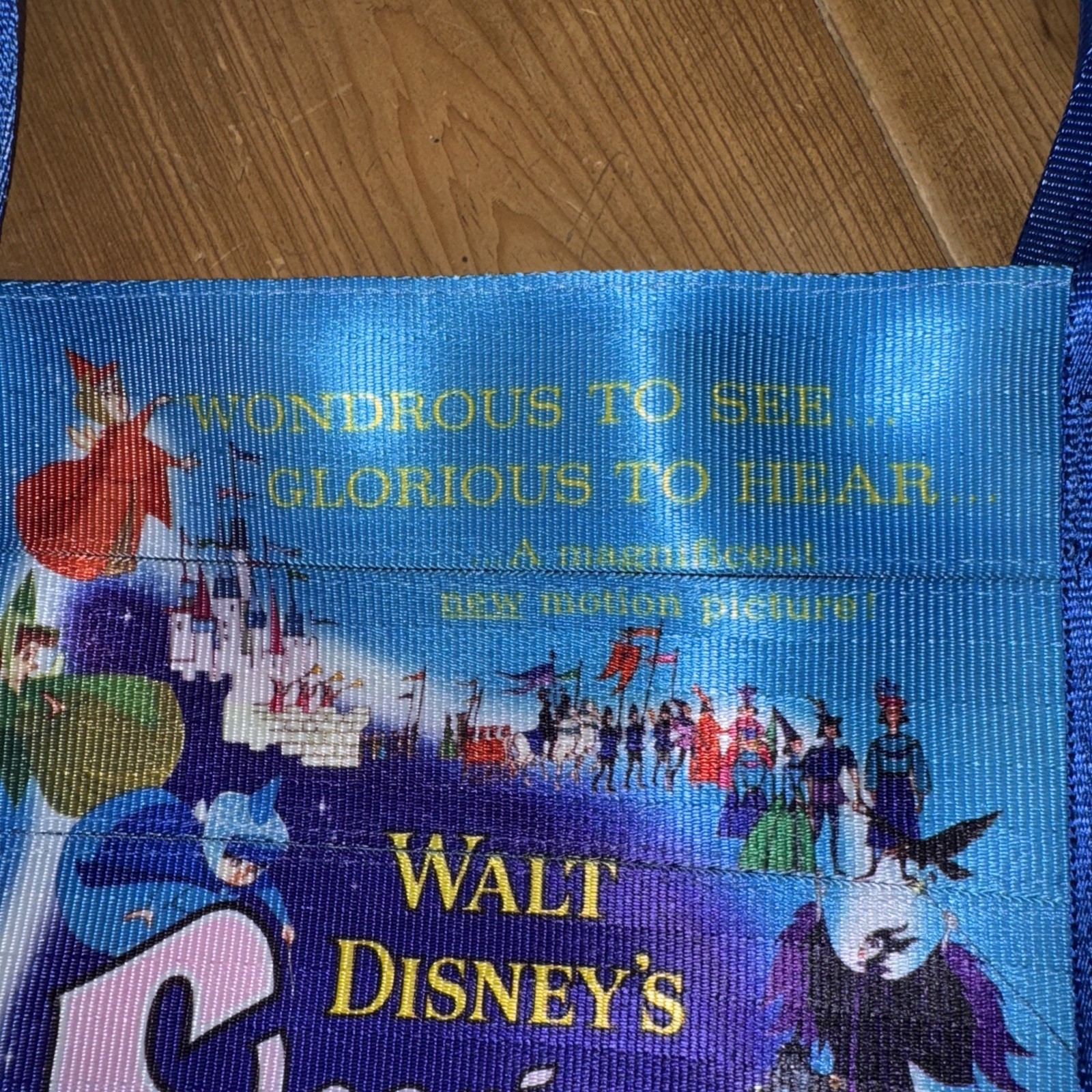 Disney Parks Harveys Sleeping Beauty Maleficent Medium Poster Tote Seatbelt Bag