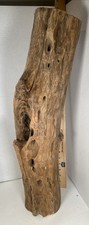Driftwood Taxidermy Beach Lake Mountain House Wedding Reception Aquarium