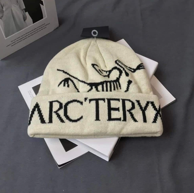 帽子 arc'teryx knit GLAY Arc'teryx Bird Head Toque Beanie - Wool Knit Hat - Beige Winter