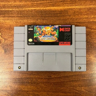 Joe & Mac 2: Lost in the Tropics Video Games for sale | eBay