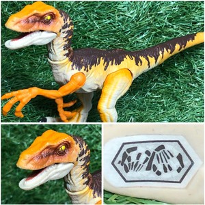 jurassic world legacy collection velociraptor