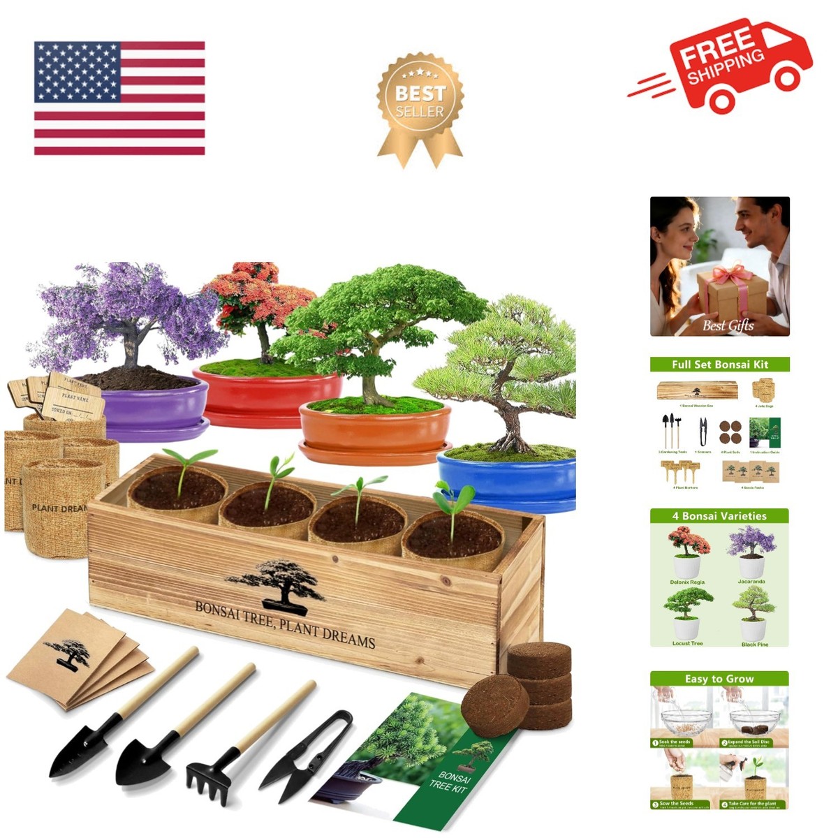 where can i purchase a bonsai tree Bonsai main image 0