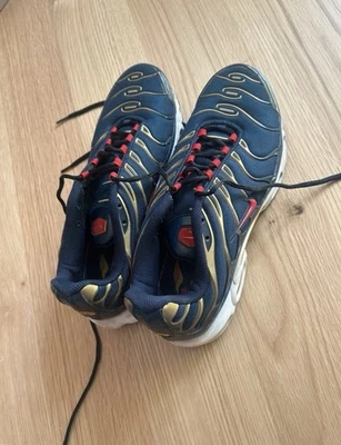 Nike Air Max Plus