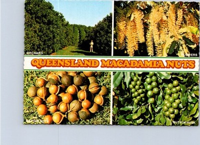 (1806) 23-11-2025 -  Australia - QLD - Macadamia Nuts Industry