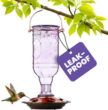 Amethyst Jewel Hummingbird Feeder - 77IN - 20 Fl Oz Nectar Capacity - Hummingbir