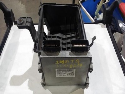2005 Hyundai XG300/XG350 ECU OEM 391103E100