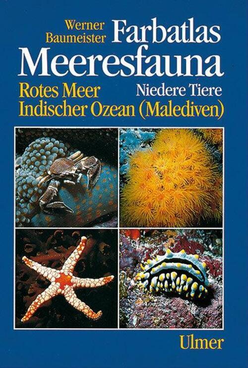 Thumbnail - Farbatlas Meeresfauna | Niedere Tiere. Rotes Meer, Indischer Ozean