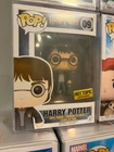 Funko Pop Harry Potter with Sword 09 Hot Topic Exclusive
