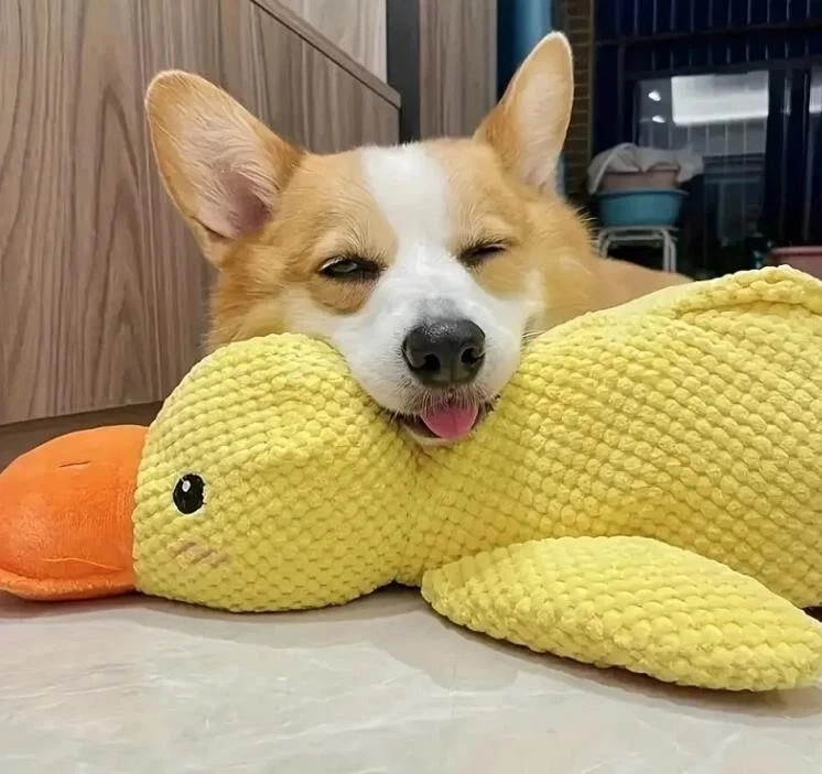 Enten-Haustier-Plüschspielzeug für Hunde mit Quik Geräusch 3Grössen - Bild 3 von 4