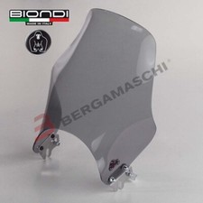 BIONDI 8010033 CUPOLINO FUME' BMW R850R 850 1997