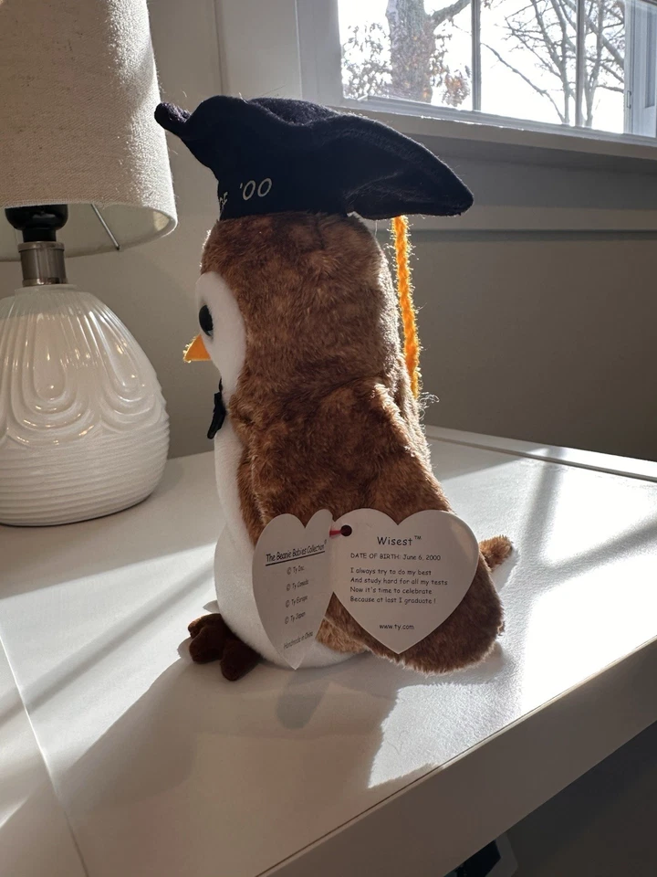 Juguete de peluche Ty Beanie Baby Wisest The 2000 Owl 7 pulgadas MWMT S Foto 3 de 4