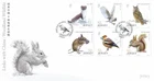 2019 Jersey Links with China (5th series) Woodland Wildlife First Day Cover