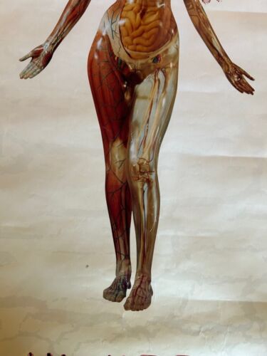 Very Rare Nirvana In Utero Poster Original 1993 David Geffen Sub Pop Pomo Poster - Imagen 11 de 12