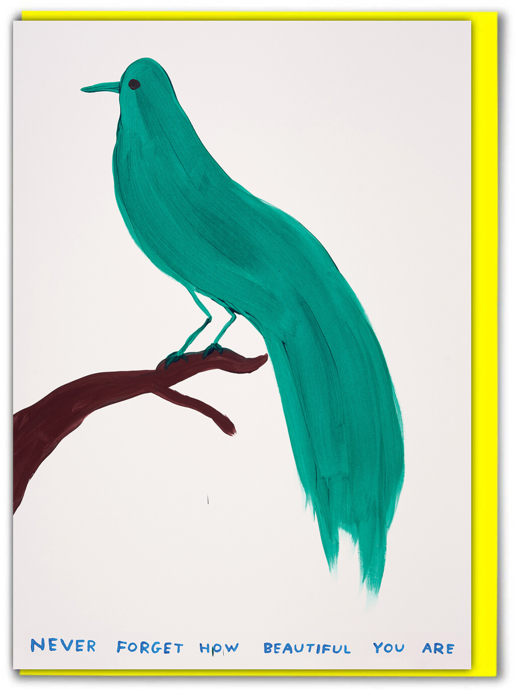David Shrigley Funny Birthday Greeting Card Hilarious Humour Witty Cheeky