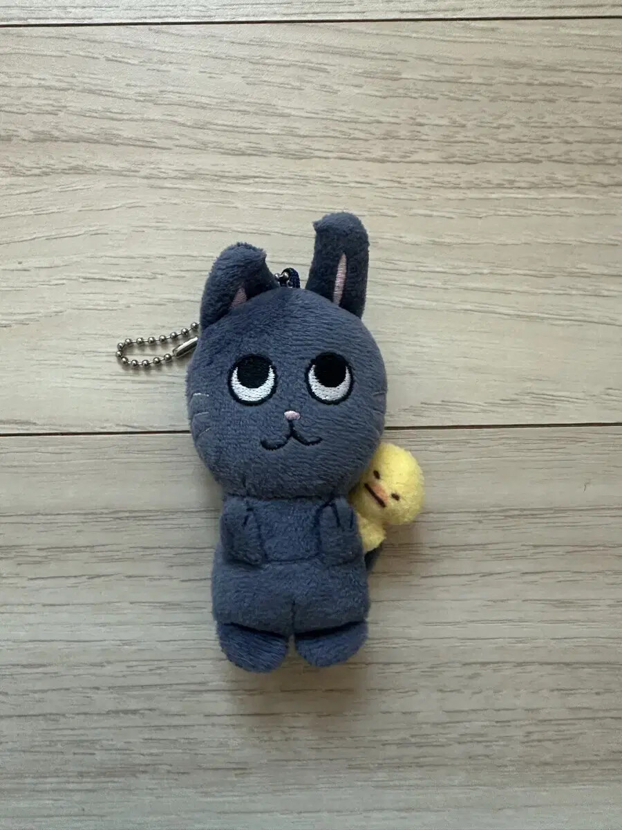 riize Wonbin Tonyangdeok | eBay