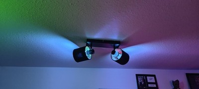 2 Spot Deckenlampe Licht in Schwarz + 2 x Govee Smart LED Glühbirne E14