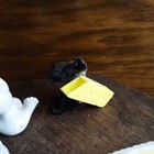 Foto 12 di 24