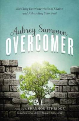 Overcomer: Breaking Down the Walls of Shame and Rebuilding Your Soul - VERY GOOD