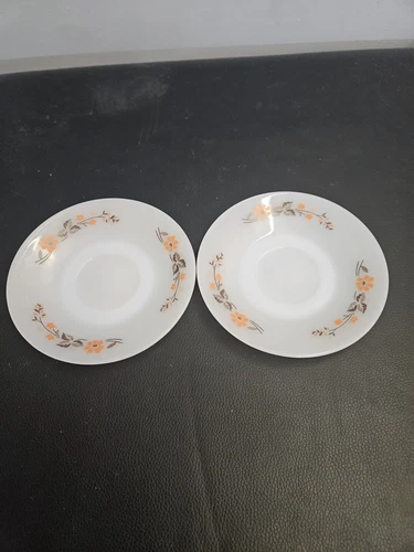 Vintage Termocrisa White Glass 2 Saucer  Orange Flowers Brown Leaves