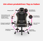Bild 11 von 14