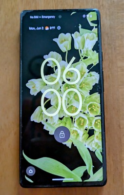 M*a様 Google Pixel 6 Sorta Seafoam 256 GB Google Google Pixel 6 256GB SIMフリー [Sorta Seafoam] 価格