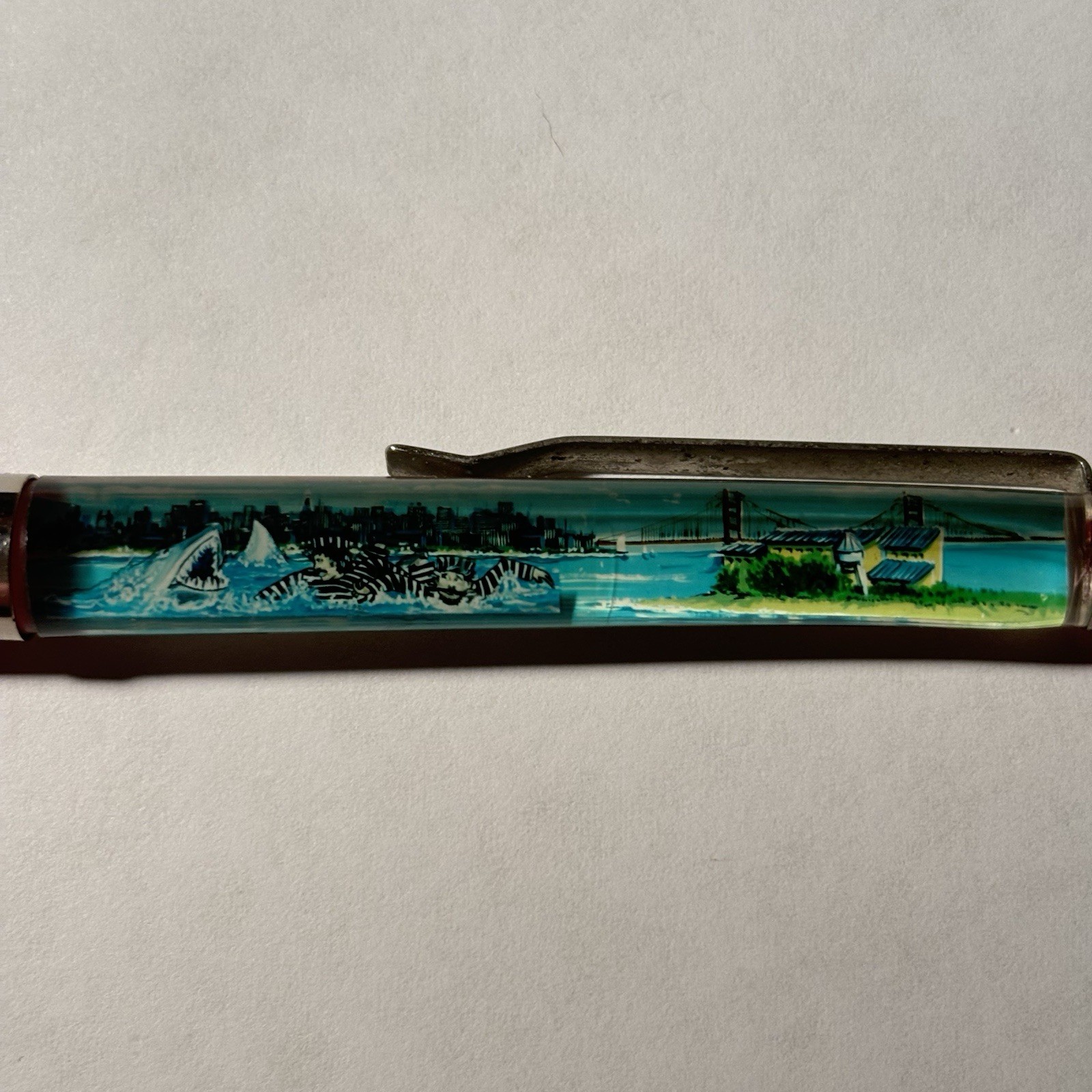 Picture 5 of 11