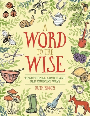 WORD TO THE WISE by Ruth Binney Hardback Self Help Business