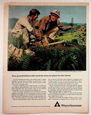 Weyerhaeuser Vintage Magazine Ad Reforestation Tree Planting Forestry 1960s